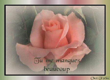 amourrrrrrrrrrrrrrrrrr